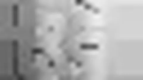 “千年体育史映像：湖北体育博物馆盛大启幕，千余件珍品讲述运动传奇”