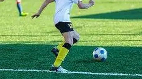 华体会体育娱乐